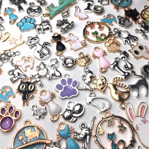 56 PET & Animal CHARMS  Bracelets Keychains Jump Rings DIY Jewelry Making Bundle - Picture 9 of 13